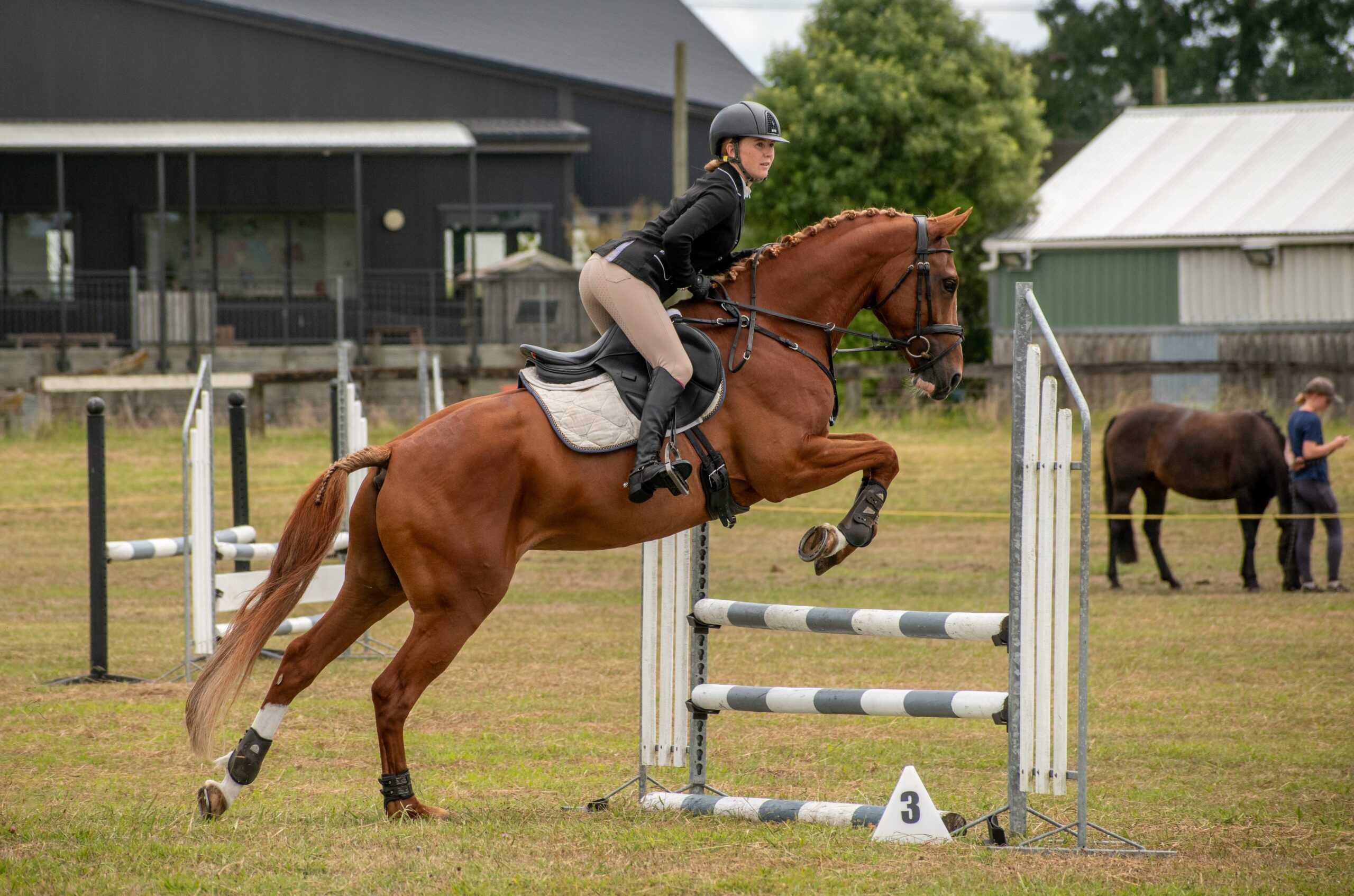 Horse and rider clearing a jump in the show jumping ring