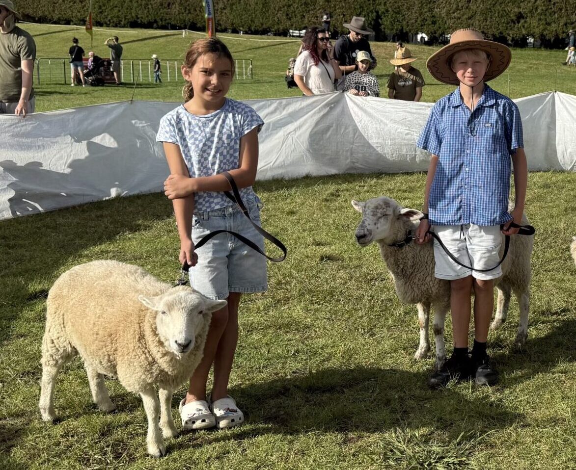 Two children showing their pet lambs