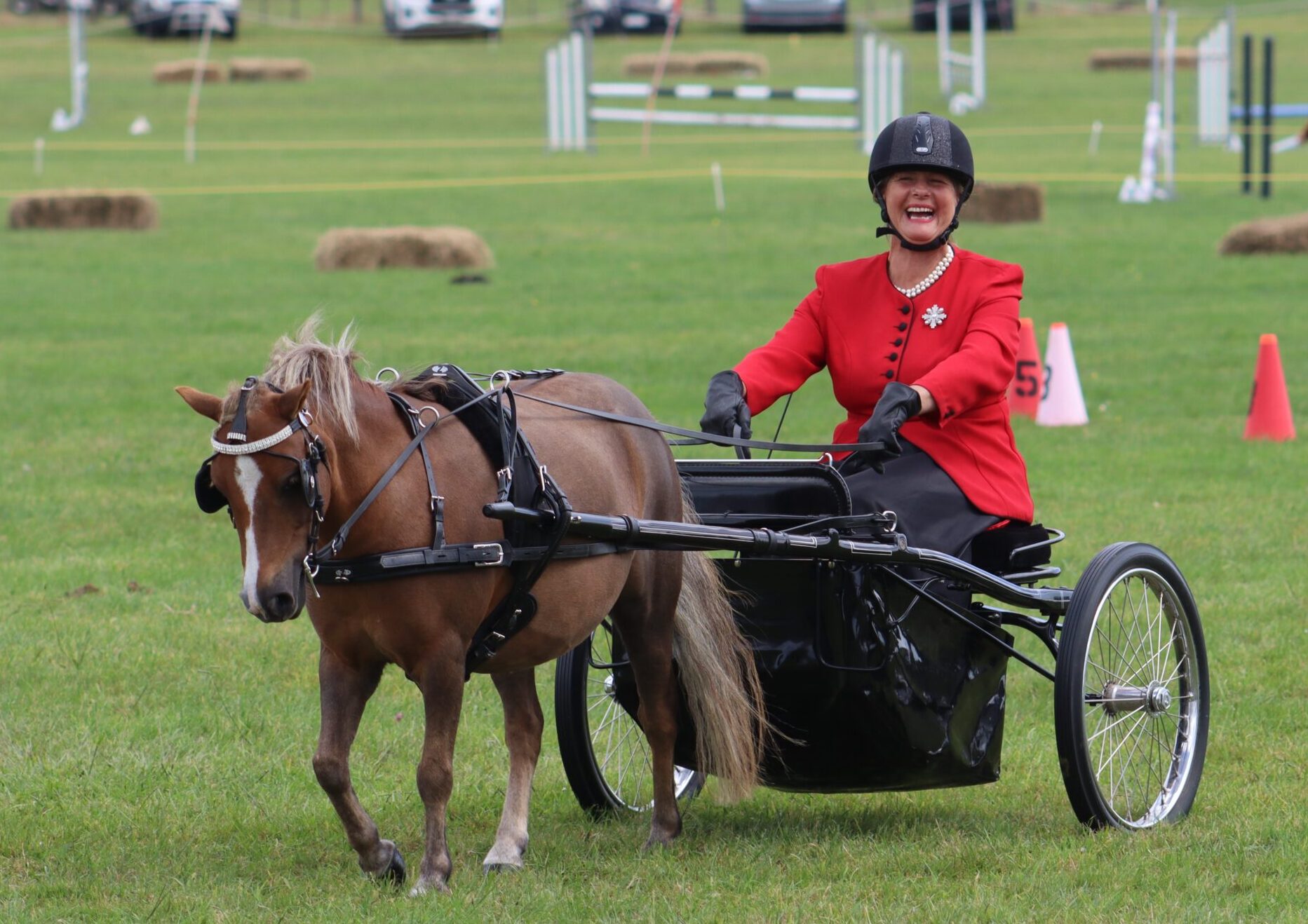 Carriage driver in a red jacket driving a pony and cart in the equestrian ring