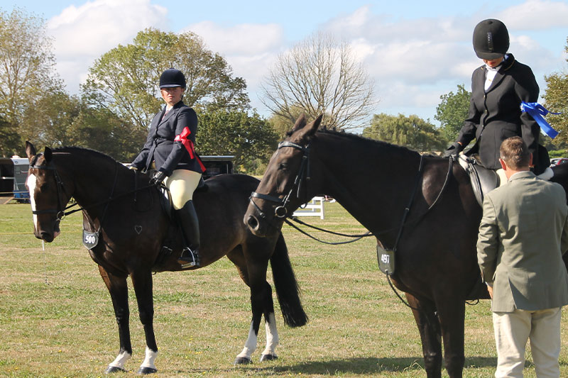 Compete at the Kumeū Show
